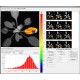Closed GFP Cam FR-800-C/1010 GFP