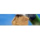Medidor de humedad y temperatura de granos TRIME®-Ex GWs